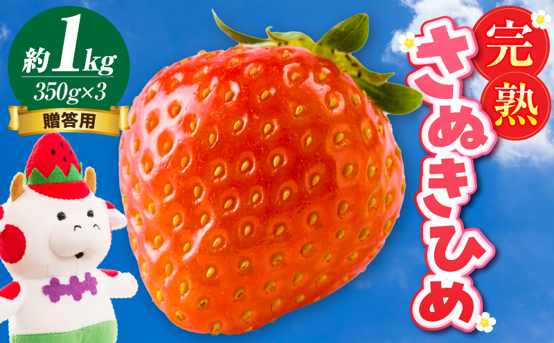 【先行予約】贈答用 完熟さぬき姫 約1.0kg | いちご 苺 さぬき姫 さぬきひめ 香川県オリジナル 希少 甘い 完熟 フルーツ 果物 旬 香川県 三木町 |_mk035-005