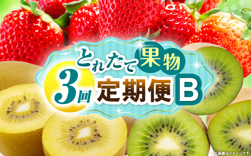 とれたて果物 3回定期便B 果物 フルーツ 果物定期便 フルーツ定期便 定期便 いちご キウイ濃厚 旬の果物 定期 人気 おすすめ 贈答 贈り物 青果物 糖度 香川県 _mk165-t066