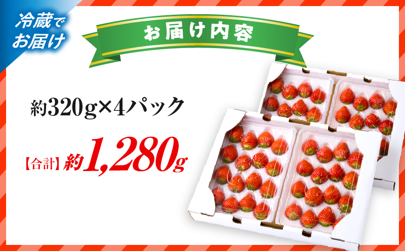 【先行予約】苺音エコノミー　〜さぬきひめいちごがいっぱい〜　約1,280g | おすすめ 人気 果実 果肉 果物 フルーツ デザート 贈り物 苺 さぬきひめ 贈答 ご褒美 ギフト 旬の果物 季節の果物 旬 季節 青果物 香川県 三木町 |_mk137-001