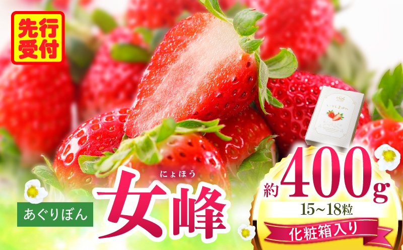 あぐりぼん　いちご「女峰」【贈答用】いとしきみ化粧箱　約400g（15〜18粒）| いちご 果物 フルーツ デザート ストロベリー 果肉 スイーツ 甘い 国産 贈り物 贈答 プレゼント グルメ 人気 おすすめ 季節 旬 旬の果物 香川県 三木町 送料無料|_mk144-001