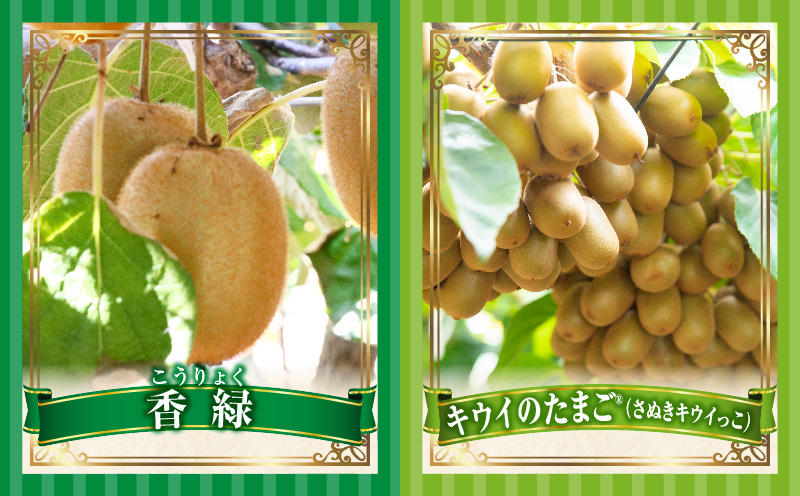 季節の恵み4回定期便E | 果物 フルーツ 青果 青果物 デザート スイーツ 果実 旬 季節 旬の果物 季節の果物 生鮮食品 生鮮 贈答 贈り物 ギフト プレゼント おすそ分け お祝い 内祝い ご褒美 人気 グルメ お取り寄せ 特産品 特産 国産 香川県 三木町 |_mk165-t029