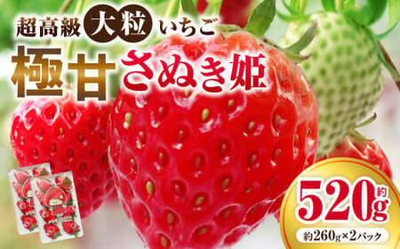 超高級大粒いちご　極甘さぬき姫260g×2パック(ハンモックトレー) | いちご 大粒 高級 さぬき姫 果物 フルーツ おすすめ 旬 イチゴ 季節 旬の果物 ギフト パック 果実 贈り物 デザート 人気 果肉 生鮮食品 国産 冷蔵 香川県 三木町 |_mk165-002