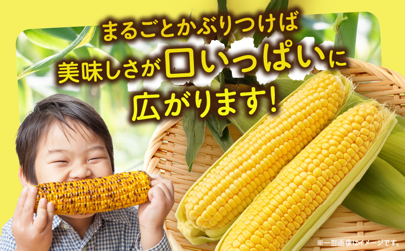 äžæšçºç£ãã€ãšããŒã³ãŒã³ãçŽ3.5kg | ããããã éè ã³ãŒã³ ã€ãšããŒã³ãŒã³ æ¬ã®éè æ¬ å£ç¯ã®éè å£ç¯ èŽç èŽãç© ã®ãã ãã¬ãŒã³ã ãããåã ã°ã«ã¡ ãåãå¯ã äººæ° ãããã ç¹ç£ ç¹ç£å çé®®é£å éŠå·ç äžæšçº |_mk006-040