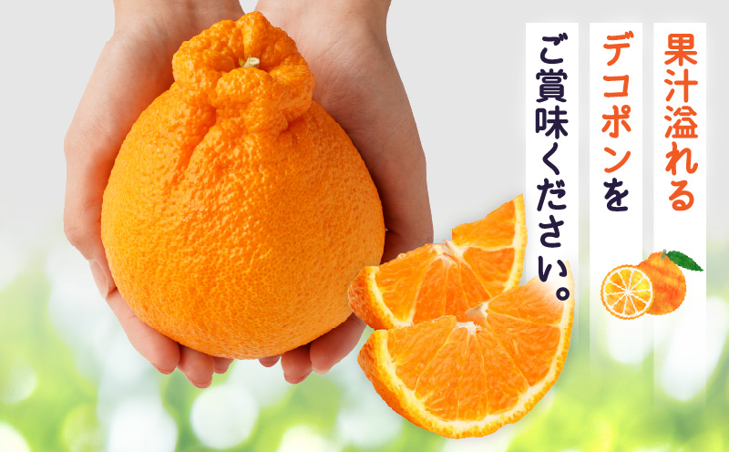 【先行予約】【期間限定！】甘みと酸味の共演・濃厚「デコポン」（濃厚な小玉サイズ）約5kg【香川県共通返礼品】 | デコポン 甘い 酸味 柑橘 柑橘系 果物 フルーツ 青果 デザート グルメ おすすめ 贈答 贈り物 贈答用 ギフト プレゼント 特産品 特産 取り寄せ 香川県 三木町 |_mk006-091