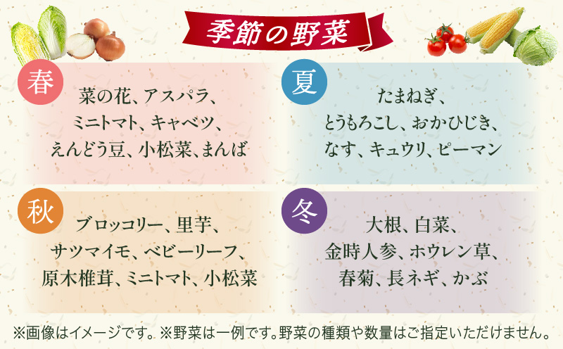 プチマルシェお野菜ボックス(S)　季節の野菜６〜７種類　≪　IDOMALL　セレクト≫| 野菜 新鮮 冷蔵 旬 香川県 野菜ボックス 季節の野菜 青果物 季節 マルシェ 冷蔵 おすすめ|_mk048-003