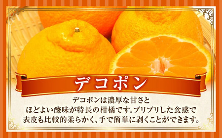 ãã³ãã³(ããŠã¹)ãåç²§ç®±2.7kg | ãã³ãã³ ã¿ãã ãã«ãŒã æç© æ¬ ææ© ãã¶ãŒã ã裟åã æ¬ æ¬ã®æç© ãããã äººæ° ãã¶ãŒã çé®®é£å æå® ãåãå¯ã èŽççš èŽãç© ææ©é¡ å£ç¯ å£ç¯ã®æç© ææ©ç³» éŠå·ç äžæšçº |_mk165-006