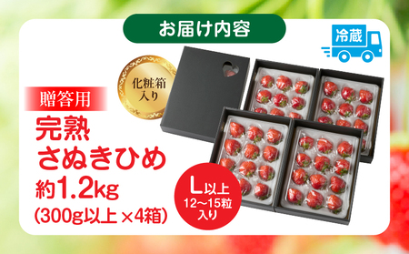 贈答用 完熟さぬき姫 約1.2kg | いちご 苺 さぬき姫 さぬきひめ 香川県オリジナル 希少 甘い 完熟 フルーツ 果物 旬 香川県 三木町 |_mk035-004