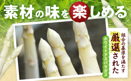 【先行予約】ホワイトアスパラガス約1kg（6〜7月出荷）|アスパラ アスパラガス ホワイトアスパラガス 新鮮 素材の味 夏野菜 直送 香川県 三木町|_mk002-003