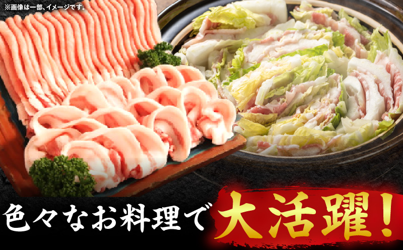 ãªãªãŒãè±ããã¶ããã¶çšïŒè©ããŒã¹ã»ãã©ïŒèš1kgã髿Ÿåžå
±éè¿ç€Œåãïœåœç£ åœç£è± ãªãªãŒãè± è±è 1000g 1kg ãã©ã³ãè± è©ããŒã¹ ãã© ã¹ã©ã€ã¹ ãè è± å·å ããã¶ããã¶ é çãç© ç
®ç© æ¥çš èŽç èŽãç© éŠå·ç äžæšçºïœ_mk017-008