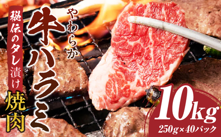 やわらか牛ハラミ焼肉　秘伝のタレ漬け10kg(250g×40P) | 牛肉 焼肉 タレ 漬け 秘伝 柔らかい 味付き やきにく ハラミ 希少 小分け 厚切り 冷凍 BBQ バーベキュー 香川県 三木町 国産 おすすめ |_mk146-030