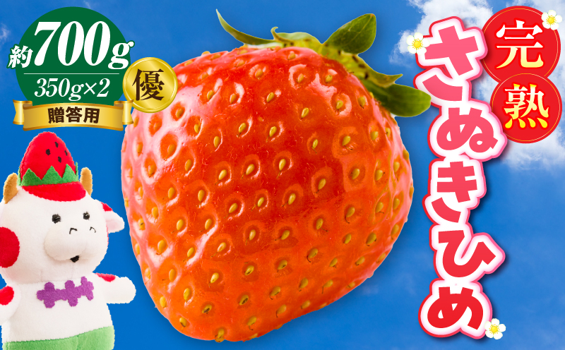 【先行予約】贈答用 完熟さぬき姫 優 約700g | いちご 苺 さぬき姫 さぬきひめ 香川県オリジナル 希少 甘い 完熟 フルーツ 果物 旬 香川県 三木町 |_mk035-006