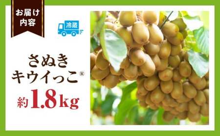 ããŠã€ãã«ãŒã(ãã¬ãããŠã€ã£ãR)ã1.8kg | ããŠã€ ãã«ãŒã æç© æ¬ æ¬ã®æç© ããŠã€ãã«ãŒã ãã¶ãŒã çé®®é£å èŽãç© èŽç ã裟åã ãããã äººæ° ã®ãã ã°ã«ã¡ ç¹ç£å æè å£ç¯ å£ç¯ã®æç© éŠå·ç äžæšçº |_mk165-008