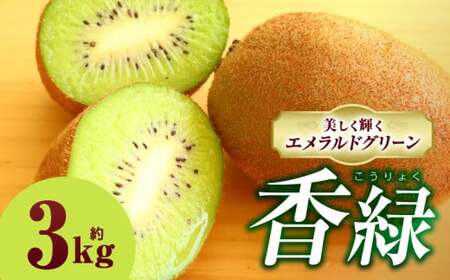 キウイフルーツ(香緑)　3.0kg | キウイ フルーツ 果物 旬 旬の果物 キウイフルーツ デザート 生鮮食品 贈り物 贈答 お裾分け おすすめ 人気 ギフト グルメ 特産品 果肉 季節 季節の果物 香川県 三木町 |_mk165-013