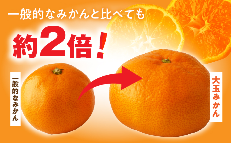 【先行受付】大玉みかん 約4.5kg | 大玉みかん 大玉 みかん ミカン 蜜柑 オレンジ 柑橘 柑橘系 果物 フルーツ 青果 おすすめ お取り寄せ ギフト 香川県 三木町 |_mk006-055