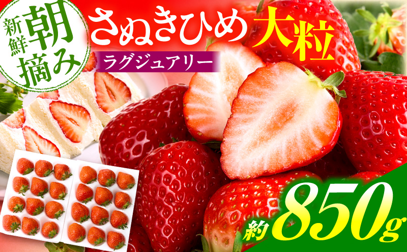 【先行予約】苺音ラグジュアリー〜冬の大粒さぬきひめいちご〜　約850g | スイーツ いちご イチゴ ストロベリー さぬきひめ さぬき姫 苺 冷蔵 フルーツ 旬 果物 香川県 デザート 青果物 おすすめ |_mk137-002