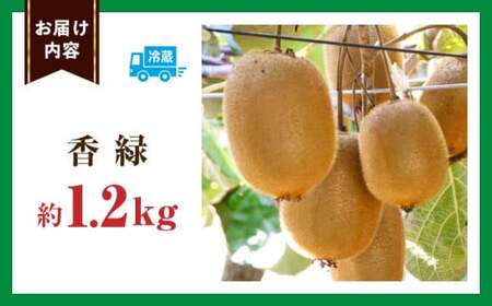 キウイフルーツ(香緑)　1.2kg | キウイ フルーツ 果物 旬 旬の果物 キウイフルーツ デザート 生鮮食品 贈り物 贈答 お裾分け おすすめ 人気 ギフト グルメ 特産品 果肉 季節 季節の果物 香川県 三木町 |_mk165-012
