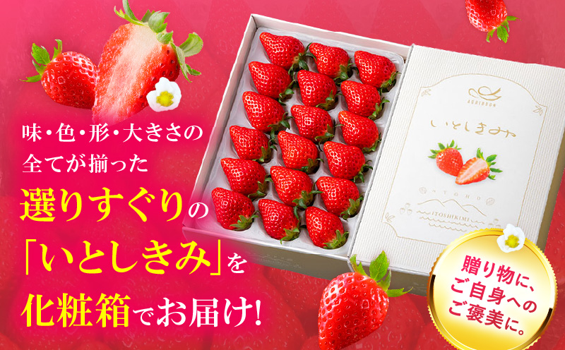 ããããŒãããã¡ãã女峰ããèŽççšãããšããã¿åç²§ç®±ãçŽ400gïŒ15ã18ç²ïŒ| ãã¡ã æç© ãã«ãŒã ãã¶ãŒã ã¹ããããªãŒ æè ã¹ã€ãŒã çã åœç£ èŽãç© èŽç ãã¬ãŒã³ã ã°ã«ã¡ äººæ° ãããã å£ç¯ æ¬ æ¬ã®æç© éŠå·ç äžæšçº éæç¡æ|_mk144-001