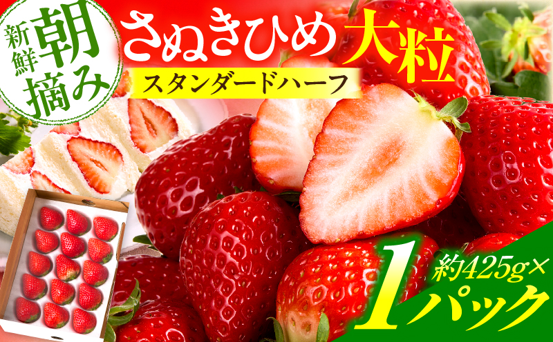 【先行予約】苺音スタンダードハーフ ～春の大粒のさぬきひめいちご～ 約425g スイーツ いちご イチゴ ストロベリー さぬきひめ さぬき姫 苺 冷蔵 フルーツ 旬 果物 香川県 デザート 青果物 おすすめ _mk137-008