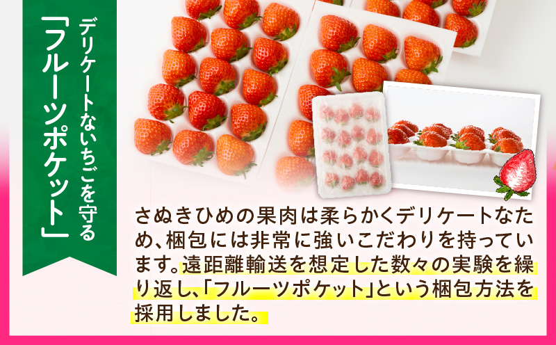 【2026年発送分 先行受付】苺音エコノミー　〜さぬきひめいちご約1,280g〜3回定期便 | おすすめ 人気 果実 果肉 果物 フルーツ デザート 贈り物 苺 さぬきひめ 贈答 ご褒美 ギフト 旬の果物 季節の果物 旬 季節 青果物 香川県 三木町 |_mk137-t001