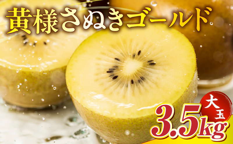 【先行予約】 黄様さぬきゴールド3.5kg(大玉)【香川県共通返礼品】|キウイ フルーツ デザート 果物 ゴールドキウイ 甘み 贈り物 贈答 旬 旬の果物 旬のフルーツ おすすめ 人気 特産品 果肉 季節の果物 季節 グルメ 生鮮食品 お裾分け 香川県 三木町|_mk025-004