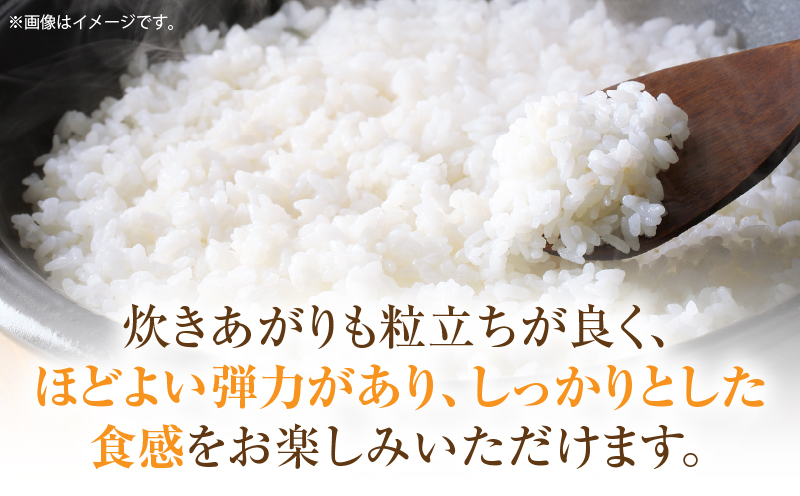 ïŒæ°ééå®ïŒã什å7幎床ç£ãéå±±ã®èªã æåç
åç±³ ãããã«ãª 5kg | æ°ç±³ ãããã«ãª ã²ã®ã²ãã 5kg ç±³ çœç±³ ãã¯ã ã飯 çœã飯 ãã«ãã ãåŒåœ ãããã³ ãç±³ åœç£ çŸå³ãã ã〠ã¢ãã¢ã 粟米 ãããã éŠå·ç äžæšçº |_mk172-002