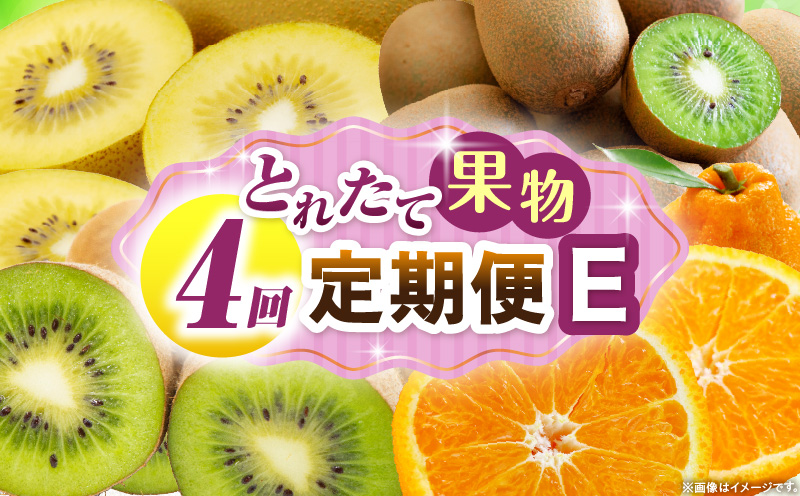 とれたて果物 4回定期便E 果物 フルーツ 果物定期便 フルーツ定期便 定期便 キウイ デコポン濃厚 旬の果物 定期 人気 おすすめ 贈答 贈り物 青果物 糖度 香川県 _mk165-t078