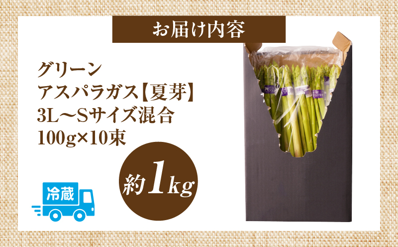 【先行受付】【夏芽】グリーンアスパラガス サイズ混合約1kg | グリーンアスパラガス アスパラガス アスパラ 夏芽 おすすめ 混合 シャキシャキ 野菜 冷蔵 新鮮 新鮮野菜 香川県 国産 三木町 おすすめ |_mk006-003