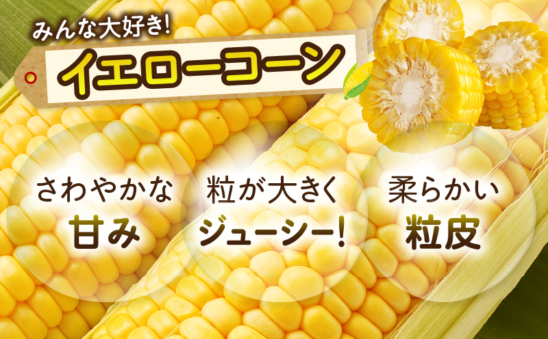 äžæšçºç£ãã€ãšããŒã³ãŒã³ãçŽ3.5kg | ããããã éè ã³ãŒã³ ã€ãšããŒã³ãŒã³ æ¬ã®éè æ¬ å£ç¯ã®éè å£ç¯ èŽç èŽãç© ã®ãã ãã¬ãŒã³ã ãããåã ã°ã«ã¡ ãåãå¯ã äººæ° ãããã ç¹ç£ ç¹ç£å çé®®é£å éŠå·ç äžæšçº |_mk006-040