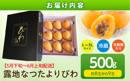 露地なつたよりびわ　500g【香川県共通返礼品】|びわ フルーツ 果物 デザート 贈り物 贈答 旬 旬の果物 ギフト 果実 グルメ お取り寄せ 季節 季節の果物 甘み 甘い果物 初夏 香川県 三木町 送料無料|_mk025-002