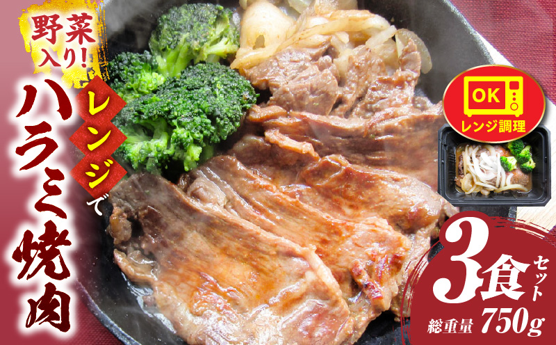 ã¬ã³ãžã§ç°¡åãã©ãçŒèã250gÃ3é£ã»ããã(ç·éé750g)éèå
¥ã| çè çŒè æããã å³ä»ã äžè³ª ãã©ã éè çãã ãããã³ãªãŒ å·å éŠå·ç äžæšçº åœç£ ãããã |_mk146-235