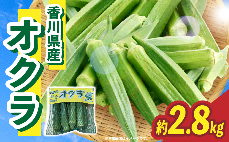 オクラ 約2.8kg |オクラ 野菜 ネバネバ 旬の野菜 旬 季節の野菜 季節 贈答 贈り物 ギフト プレゼント おすそ分け グルメ お取り寄せ 人気 おすすめ 特産 特産品 生鮮食品 香川県 三木町 |_mk006-124
