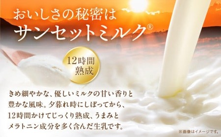 MUCCAジェラート　8個セット|ジェラート 8個 MUCCA サンセットミルク アイス デザート スイーツ 香川県 三木町|_mk024-003