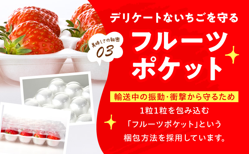 【先行予約】苺音エコノミー　〜さぬきひめいちごがいっぱい〜　約1,280g | おすすめ 人気 果実 果肉 果物 フルーツ デザート 贈り物 苺 さぬきひめ 贈答 ご褒美 ギフト 旬の果物 季節の果物 旬 季節 青果物 香川県 三木町 |_mk137-001