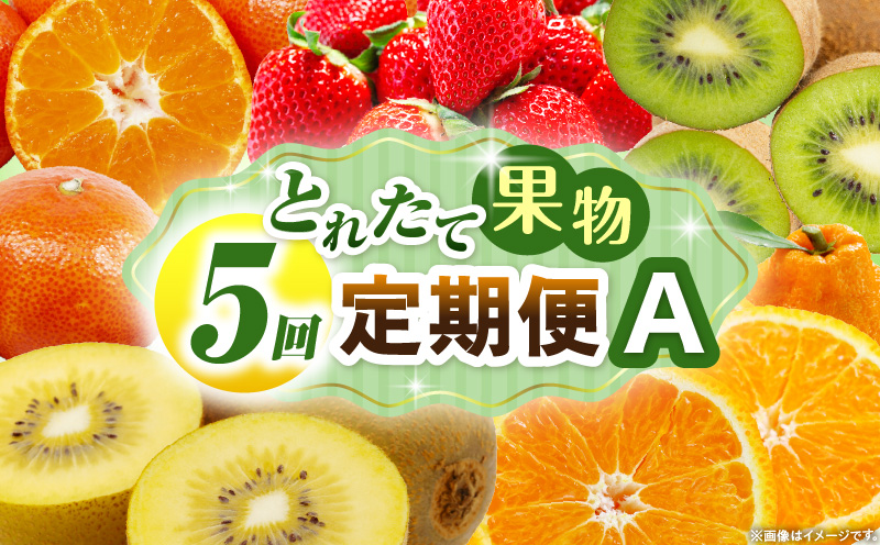 とれたて果物 5回定期便A 果物 フルーツ 果物定期便 フルーツ定期便 定期便 いちご キウイ デコポンみかん 濃厚 旬の果物 定期 人気 おすすめ 贈答 贈り物 青果物 糖度 香川県 _mk165-t080