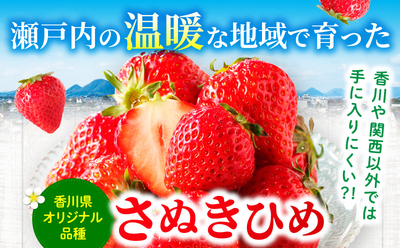 【先行受付】【年内発送】三木町地域いちご部会「さぬきひめ」約500gDXパック  スイーツ いちご ストロベリー イチゴ さぬき姫 さぬきひめ 苺 甘い 大粒 冷蔵 フルーツ 旬 果物 香川県 デザート 青果物 贈答 プレゼント 贈り物 おすすめ mk006-085