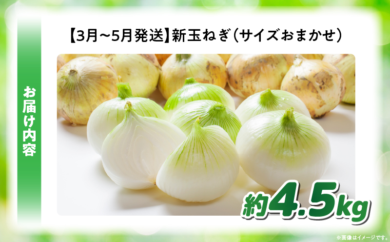 この時期にしか味わえない、みずみずしく甘み豊かな「新玉ねぎ」約4.5kg |玉ねぎ 新玉ねぎ 野菜 甘い オニオン 香川 香川県 三木町 みずみずしい |_mk006-114