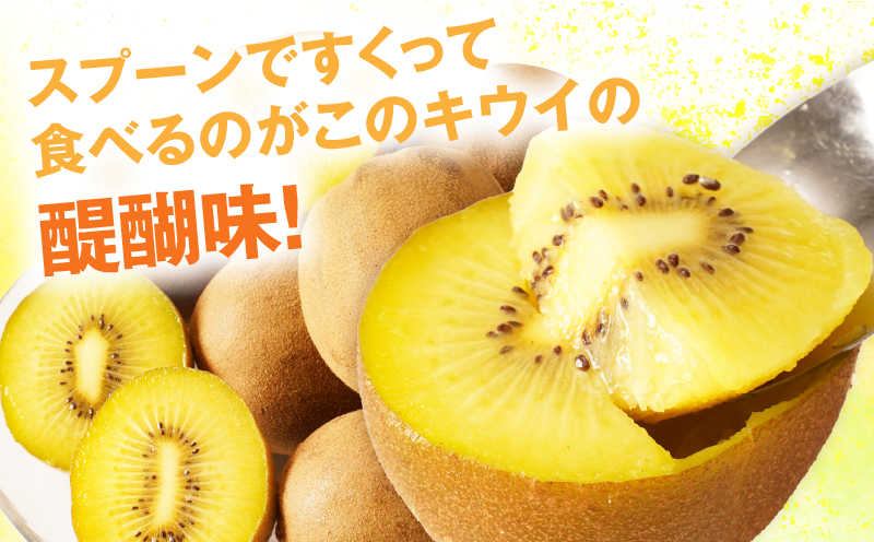 訳ありご家庭用さぬきゴールドキウイ約1kg【香川県共通返礼品】 | 果物 フルーツ さぬきゴールド キウイ キウイフルーツ フレッシュ ジューシー 香り 爽やか 旬の果物 人気 おすすめ 贈答 贈り物 青果物 糖度 香川県 三木町 |_mk006-095