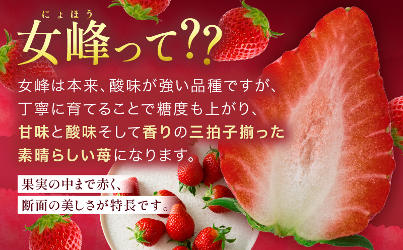 【苺ファーム森本】完熟女峰の冷凍いちご 450g×2袋 ≪IDOMALL セレクト≫|スイーツ いちご ストロベリー 女峰 苺 ジャム いちごジャム 冷凍 フルーツ 旬 果物 香川県 デザート 青果物 贈答 プレゼント 贈り物 おすすめ|_mk048-010
