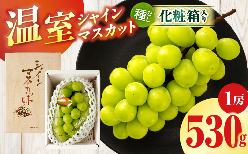 【先行受付】温室シャインマスカット 1房化粧箱入り(530g以上)  マスカット ハウス ぶどう ブドウ 葡萄 果物 フルーツ 人気 香川 香川県 三木町 種なし 皮ごと食べられる ジューシー 化粧箱 旬 おすすめ mk006-104