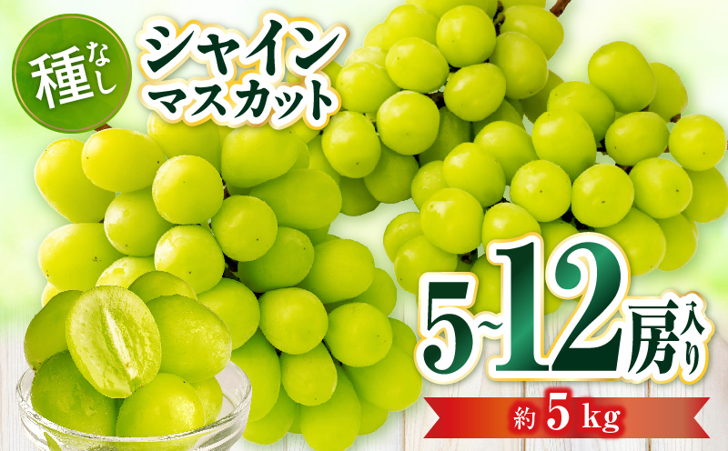 【先行受付】シャインマスカット 5〜12房入り(約5kg)  マスカット ぶどう ブドウ 葡萄 果物 フルーツ 人気 香川 香川県 三木町 種なし 皮ごと食べられる ジューシー 旬 おすすめ mk006-108