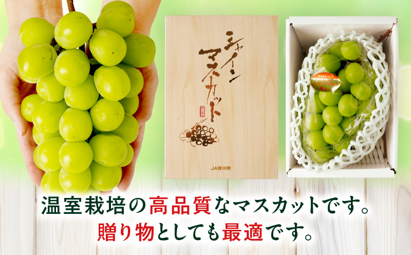 【先行受付】温室シャインマスカット 1房化粧箱入り(530g以上)  マスカット ハウス ぶどう ブドウ 葡萄 果物 フルーツ 人気 香川 香川県 三木町 種なし 皮ごと食べられる ジューシー 化粧箱 旬 おすすめ mk006-104