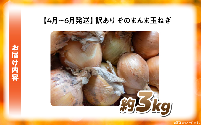 訳ありそのまんま玉ねぎ 約3kg |玉ねぎ 野菜 甘い オニオン 香川 香川県 三木町 みずみずしい 訳あり 生産者応援 ご家庭用 |_mk006-118