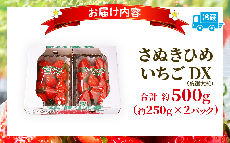 【先行受付】【年内発送】三木町地域いちご部会「さぬきひめ」約500gDXパック  スイーツ いちご ストロベリー イチゴ さぬき姫 さぬきひめ 苺 甘い 大粒 冷蔵 フルーツ 旬 果物 香川県 デザート 青果物 贈答 プレゼント 贈り物 おすすめ mk006-085