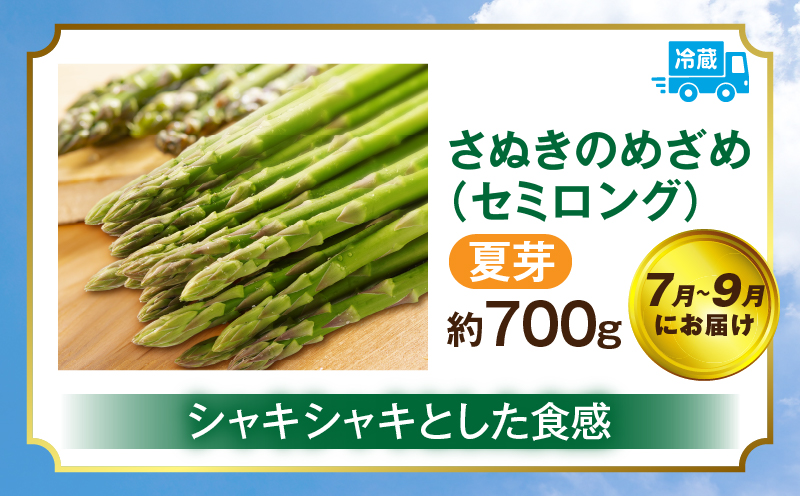 さぬきのめざめ定期便 | 野菜 定期便 アスパラ アスパラガス さぬきのめざめ 料理 柔らかい 濃い 春 夏 シャキシャキ 食感 冷蔵 新鮮 セミロング おすすめ 旬の野菜 季節の野菜 贈答 贈り物 ギフト 化粧箱 取り寄せ 香川県 三木町 送料無料|_mk006-t017