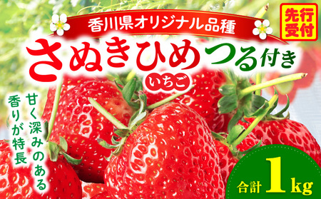 三木町地域いちご部会『さぬきひめ』　つる付き　1kg | スイーツ いちご ストロベリー イチゴ さぬき姫 さぬきひめ 苺 甘い 冷蔵 1kg以上 フルーツ 旬 果物 香川県 デザート 青果物 贈答 プレゼント 贈り物 おすすめ |_mk006-014