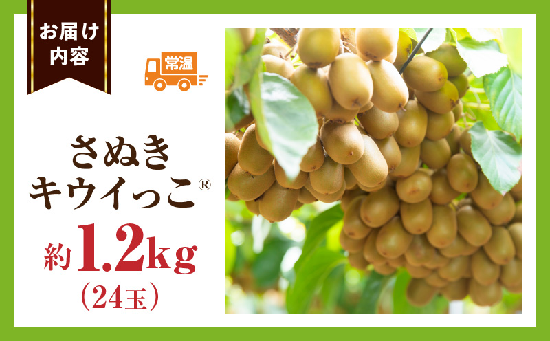 ãã€ã¶ã§ã¡ã
ããããã¬ãããŠã€ã£ã çŽ1.2kg |æç© ãã«ãŒã ãã¬ã ããŠã€ã£ã ããŠã€ãã«ãŒã ã°ãªãŒã³ ããŠã€ å°ãã æ¿å ãã¬ãã·ã¥ ãžã¥ãŒã·ãŒ éŠã çœãã æ¬ã®æç© äººæ° ãããã èŽç èŽãç© éæç© ç³åºŠ éŠå·ç äžæšçº |_mk165-020