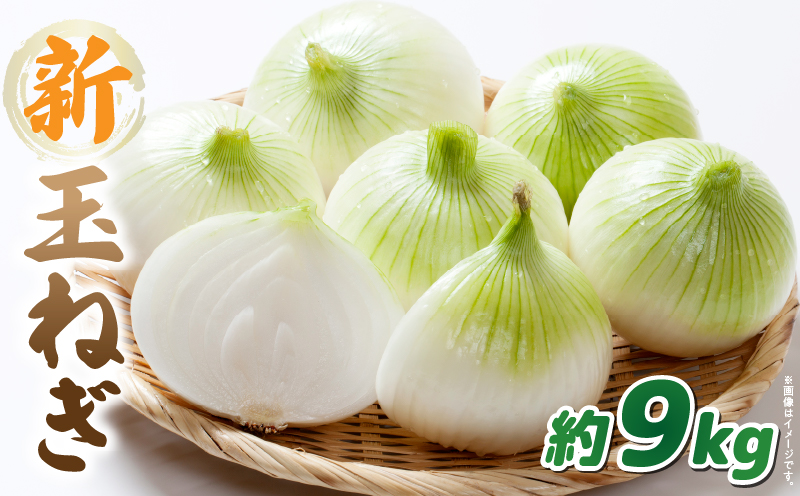 この時期にしか味わえない、みずみずしく甘み豊かな「新玉ねぎ」約9kg |玉ねぎ 新玉ねぎ 野菜 甘い オニオン 香川 香川県 三木町 みずみずしい |_mk006-115