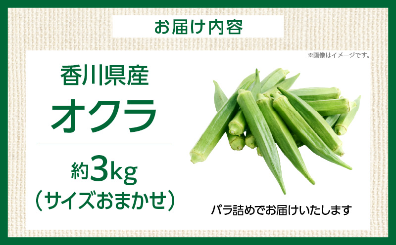 オクラ　約3kg　バラ |オクラ 野菜 ネバネバ 旬の野菜 旬 季節の野菜 季節 贈答 贈り物 ギフト プレゼント おすそ分け グルメ お取り寄せ 人気 おすすめ 特産 特産品 生鮮食品 香川県 三木町 |_mk006-094