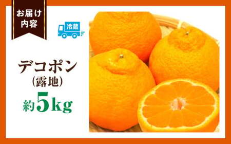 ãã³ãã³(é²å°)ã5kg | ãã³ãã³ ã¿ãã ãã«ãŒã æç© æ¬ ææ© ãã¶ãŒã ã裟åã æ¬ æ¬ã®æç© ãããã äººæ° ãã¶ãŒã çé®®é£å æå® ãåãå¯ã èŽççš èŽãç© ææ©é¡ å£ç¯ å£ç¯ã®æç© ææ©ç³» éŠå·ç äžæšçº |_mk165-007