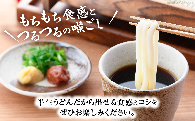 ざるうどん半生10袋入（つゆ付）|うどん さぬきうどん 讃岐うどん ざるうどん 細麺 半生うどん コシ めんつゆ付き かけ 釜あげ ぶっかけ 伝統 香川 半生 三木町|_mk041-006